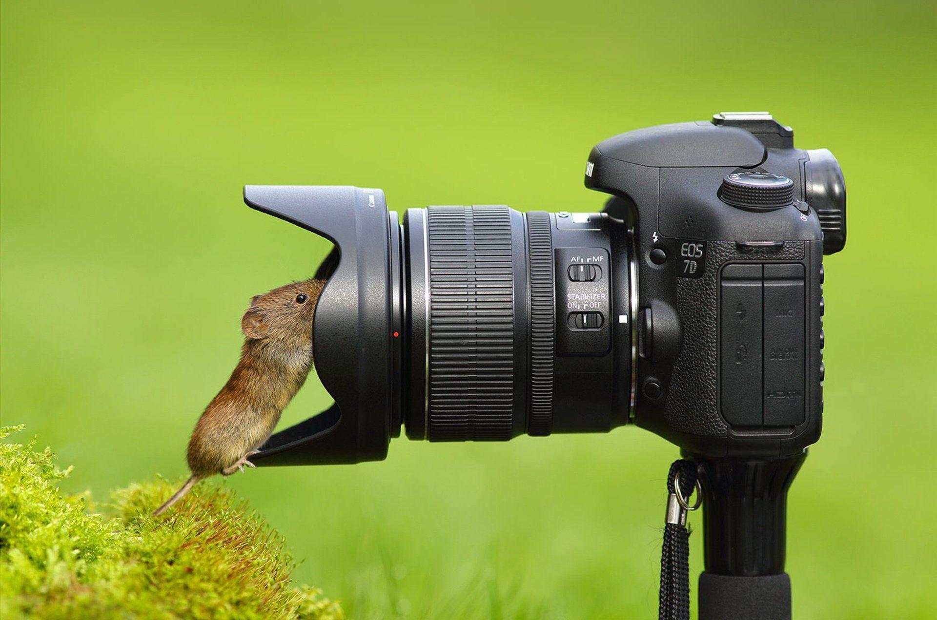 1920x1272 camera, Mouse, Lens Wallpaper HD / Desktop and Mobile Background