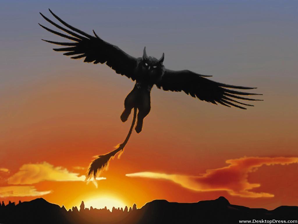1024x768 Desktop Wallpaper 3D Background Scary Owl