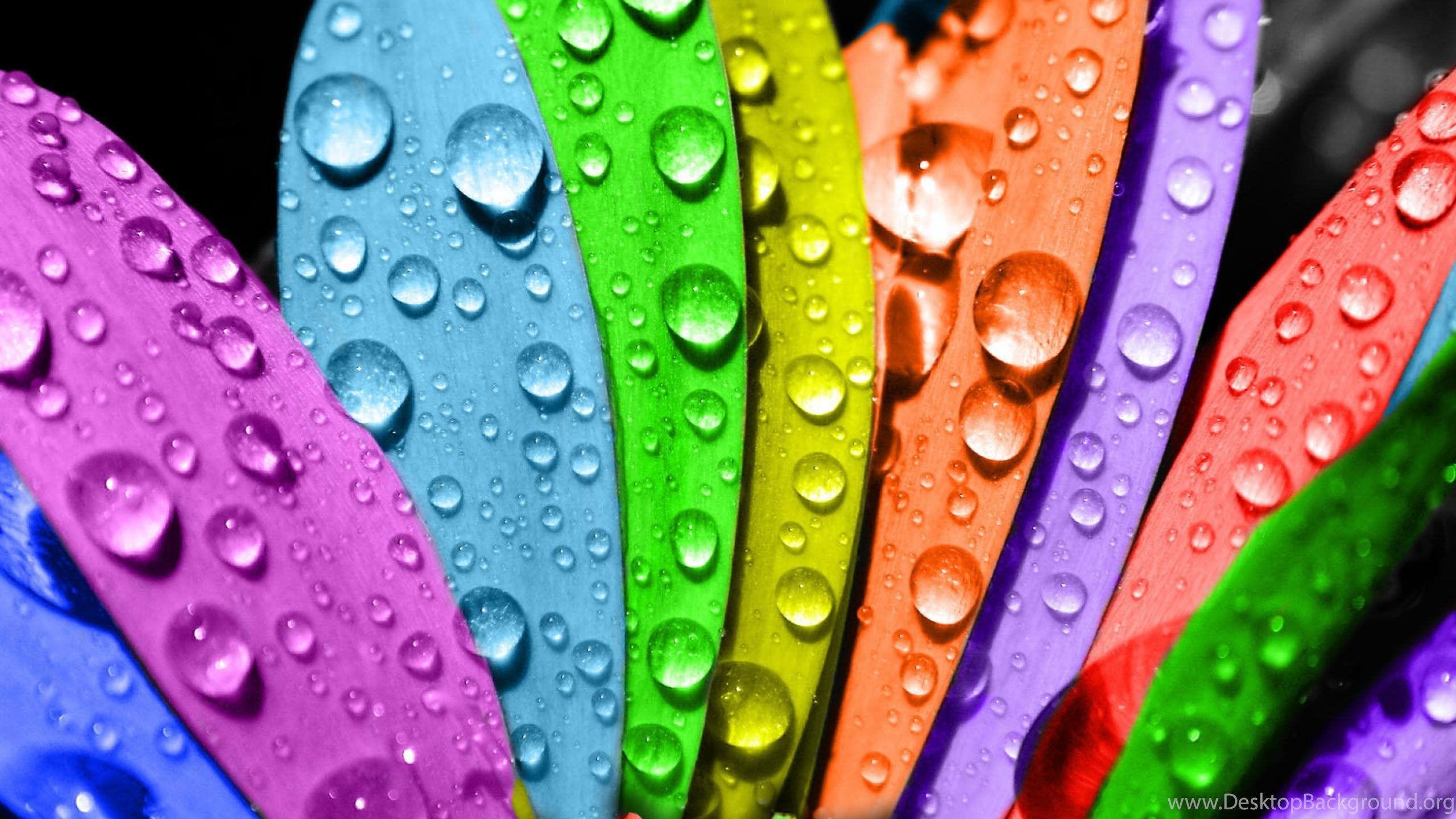 2560x1440 Wallpaper Rainbows Flower Rainbow Water Drops Colors Nature Free. Desktop Background
