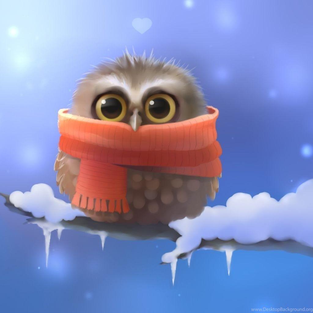 1024x1024 Cute Owl Graphic iPad Wallpaper Download iPhone Wallpaper Wall Paper For iPad HD Wallpaper
