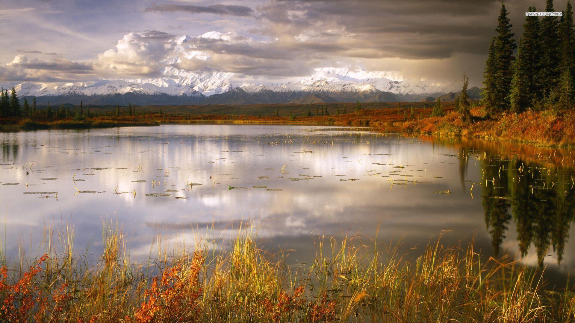 1920x1080 Denali National Park 860540