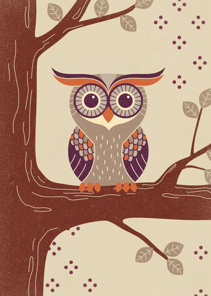 800x1122 Wallpaper Owl Cute Tumblr