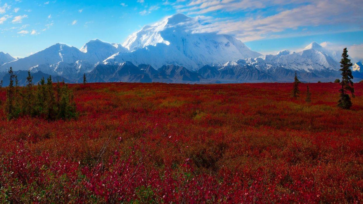 1244x700 Denali National Park Alaska wallpaperx1080