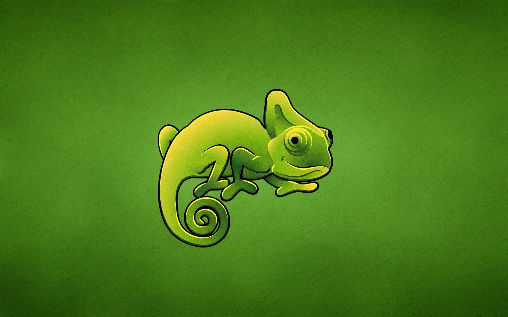 1680x1050 Chameleon Green Lizard