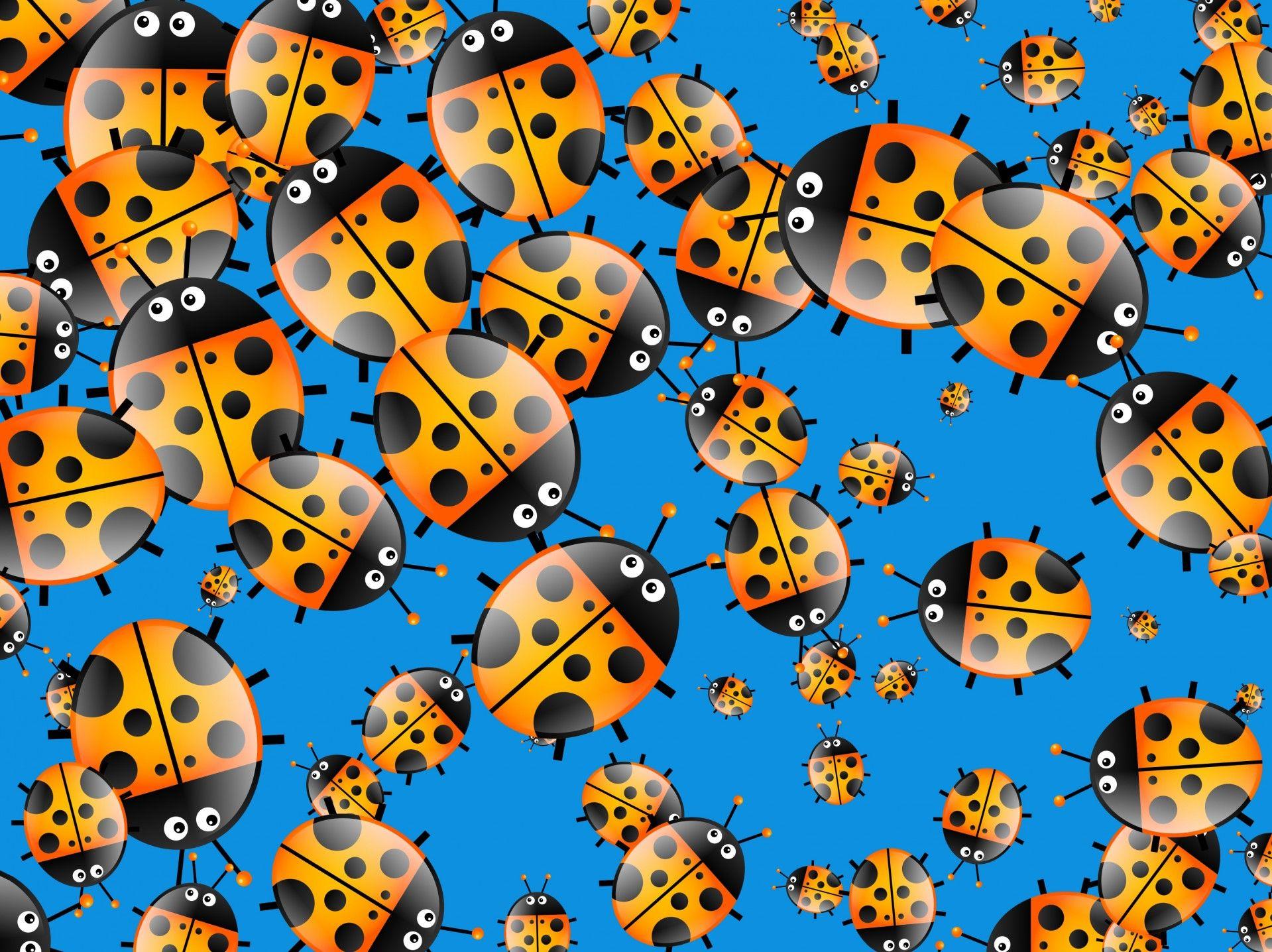 1919x1436 Cartoon Ladybug Wallpaper Free Domain Picture