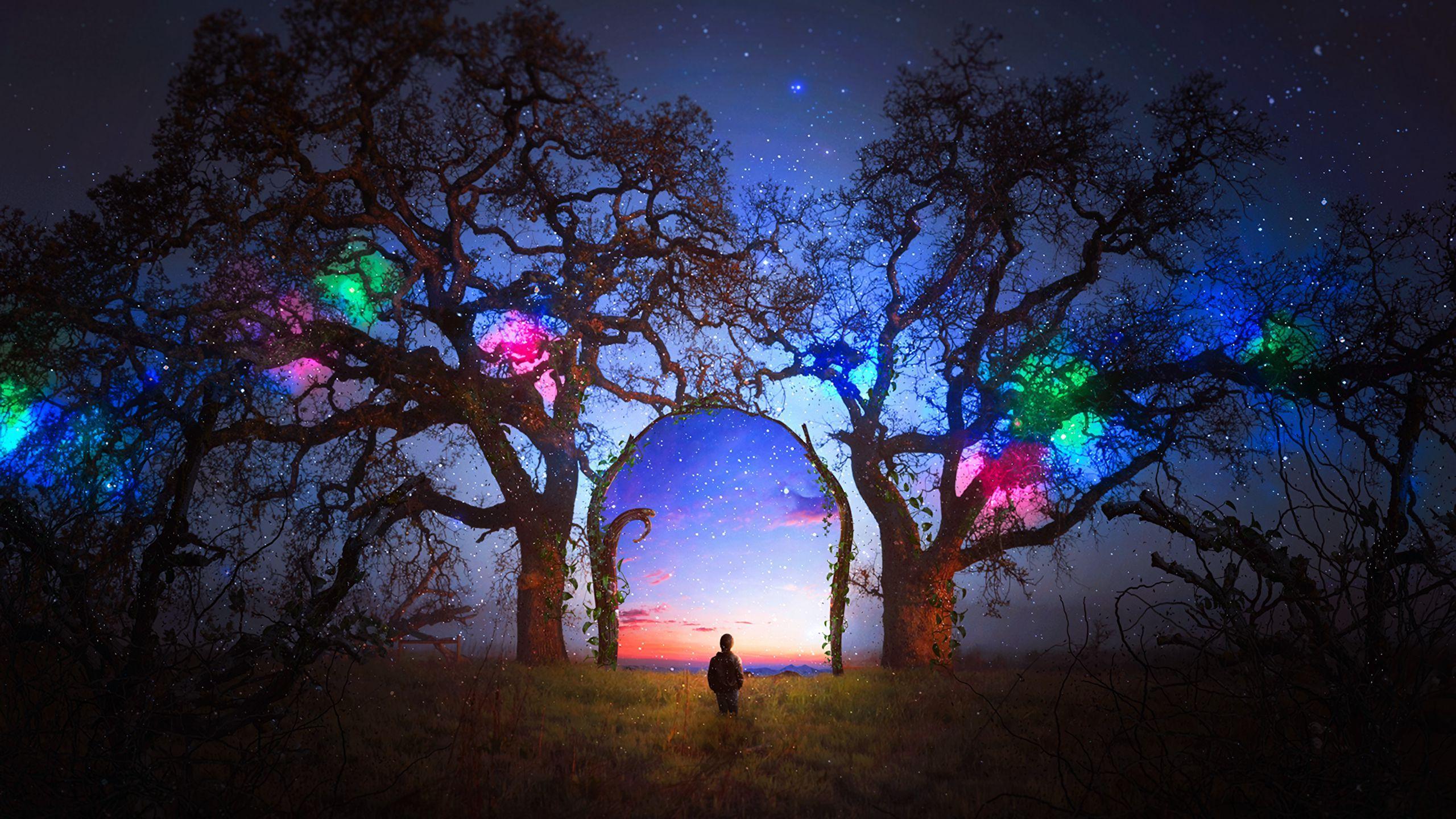 2560x1440 Download wallpaper 2560x1440 silhouette, arch, starry sky, photohop, fabulous, fantastic widescreen 16:9 HD background