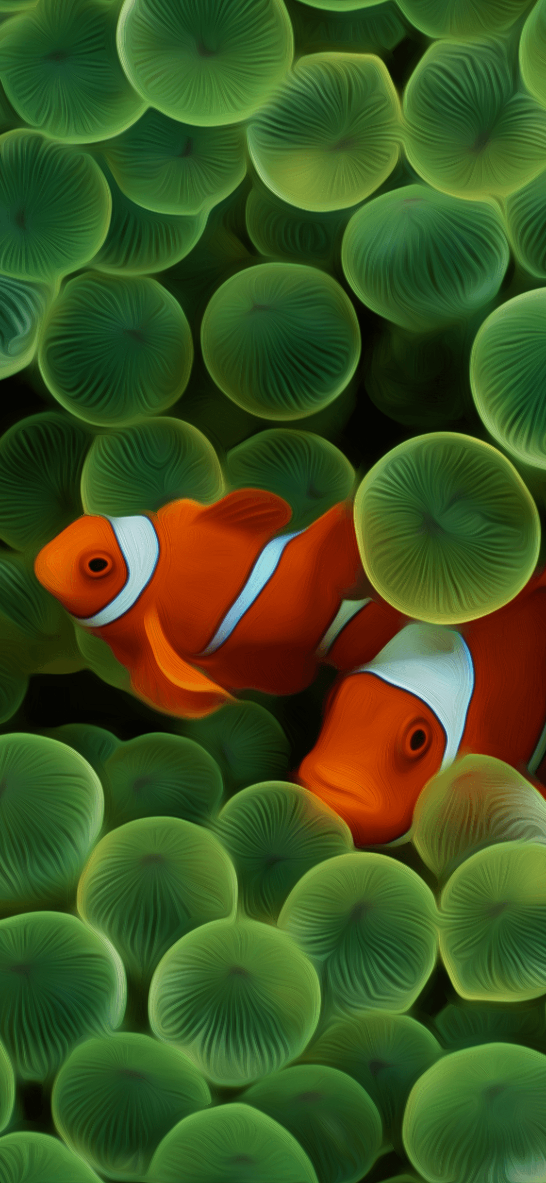 1125x2436 iPhone Fish Wallpaper