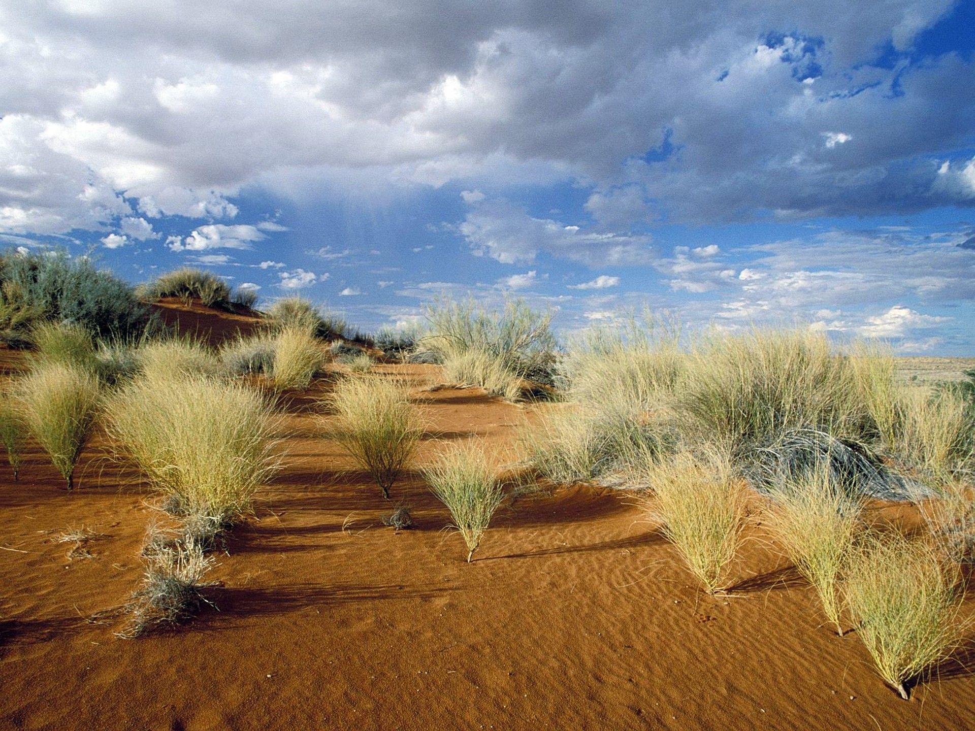 1920x1440 Nature: Kgalagadi Transfrontier Park, South Africa, desktop wallpaper nr. 37153