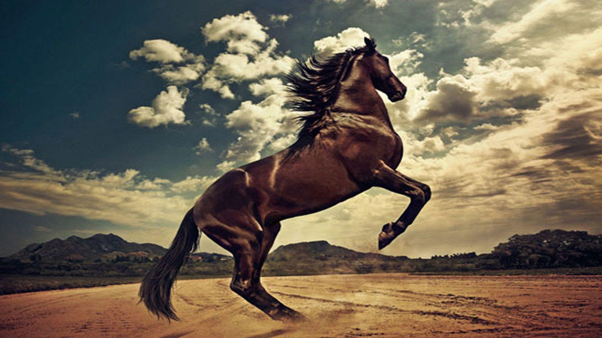 1920x1080 Wild West Wallpaper