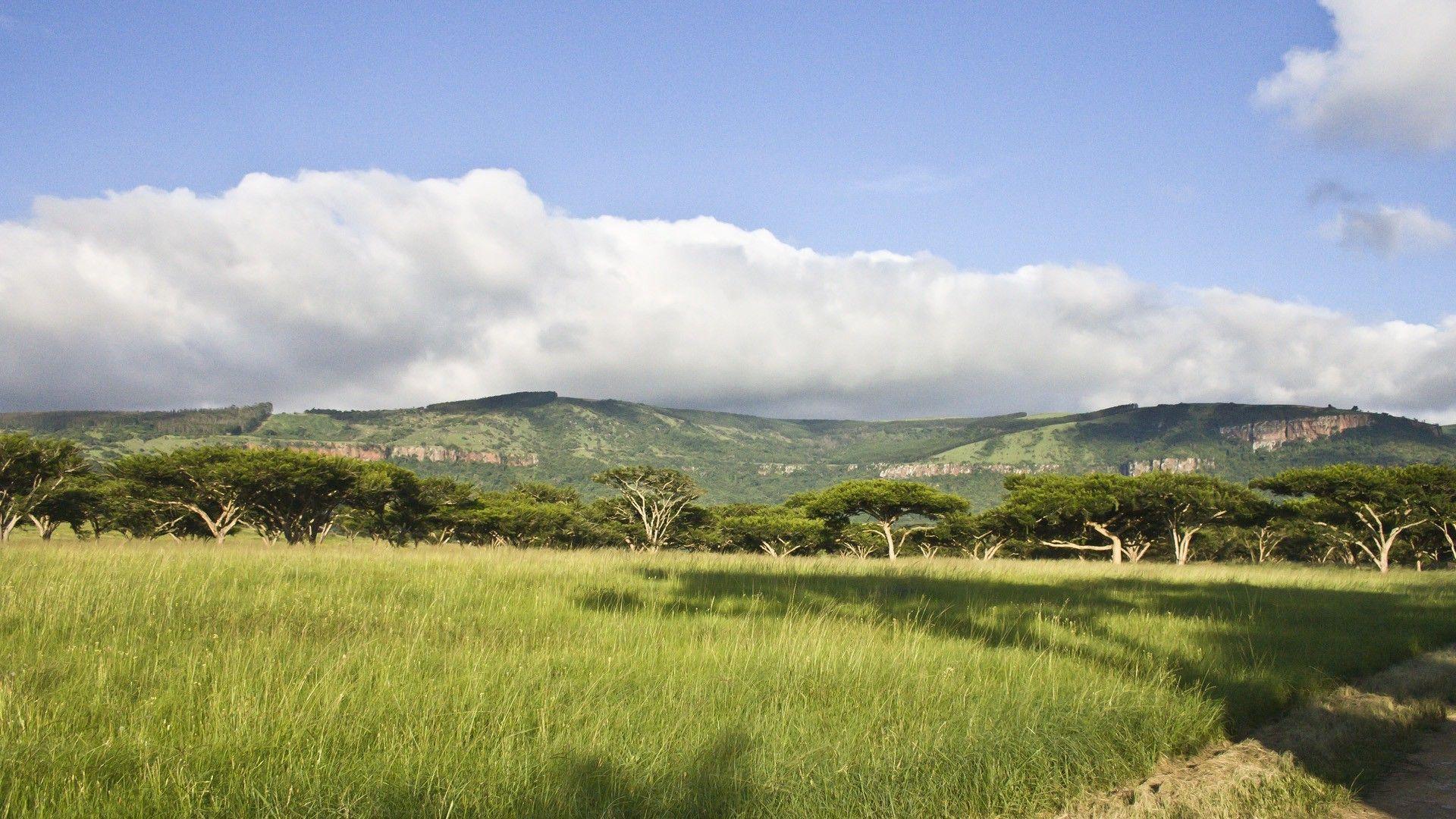 1920x1080 Original, landscape, south, african, scenery, nature, background