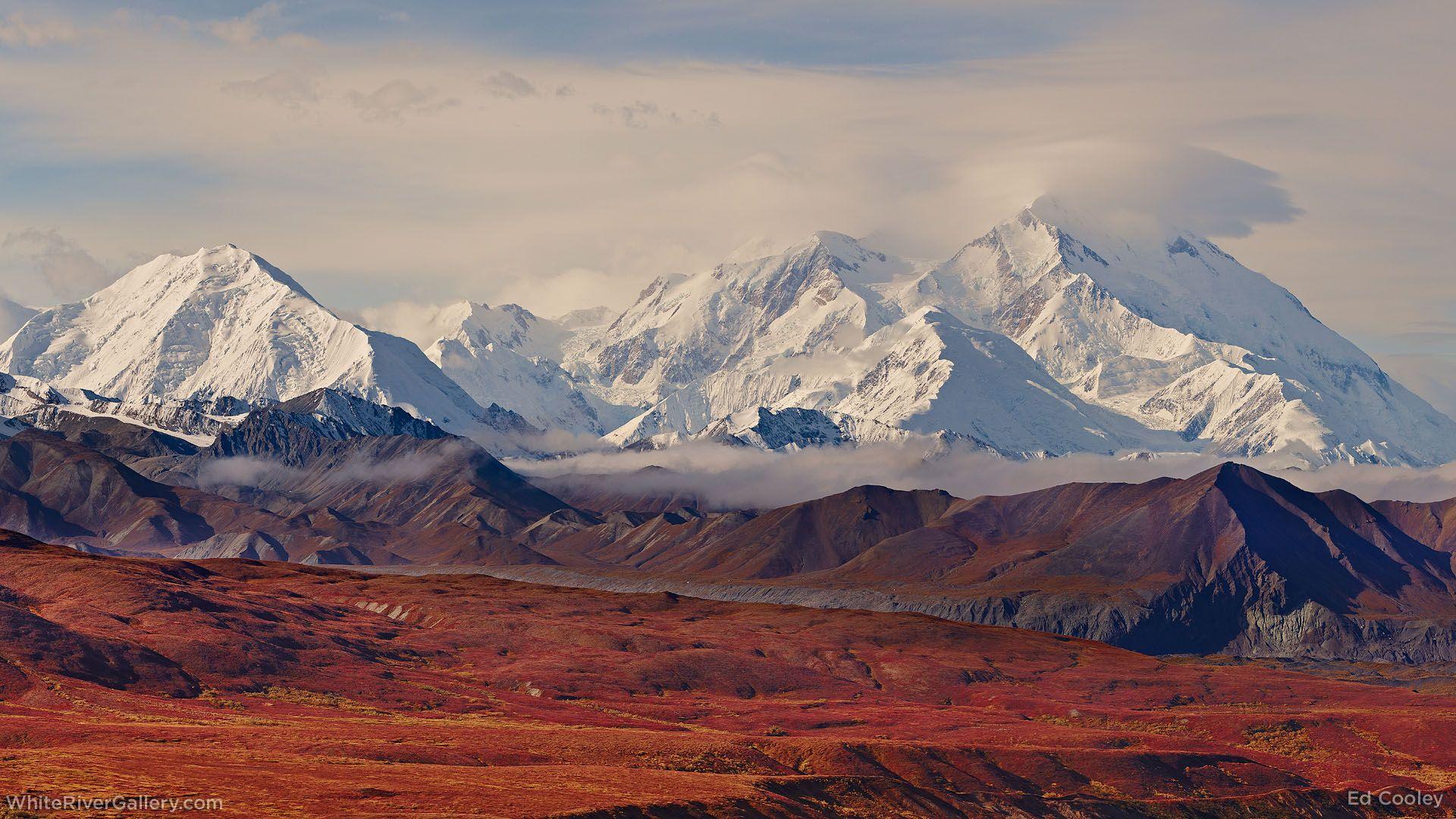 Denali National Park 4K Wallpapers Top Free Denali National Park 4K