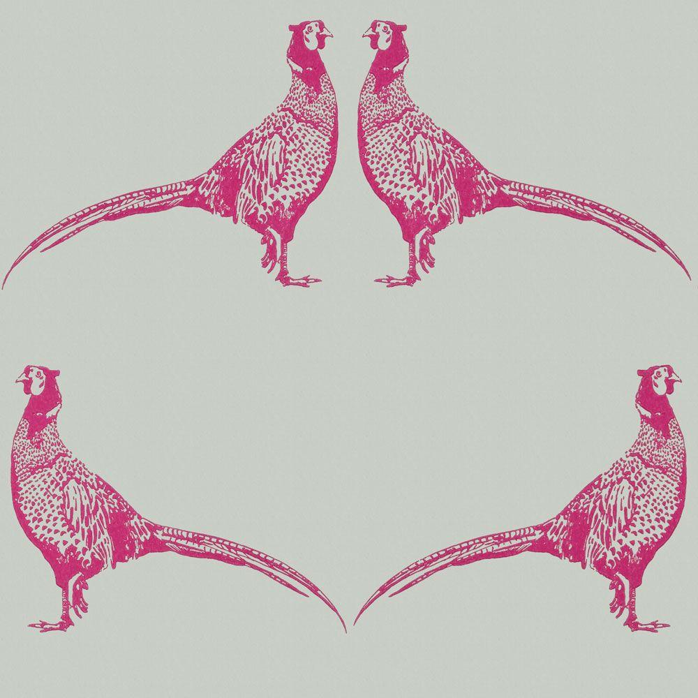 1000x1000 Pheasant by Barneby Gates : Wallpaper Direct