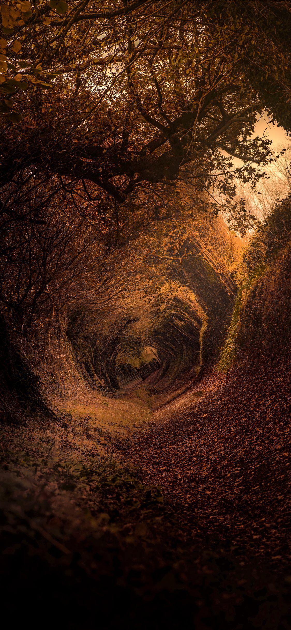 1125x2436 Hobbit Shire. Retina wallpaper, Apple wallpaper, The hobbit