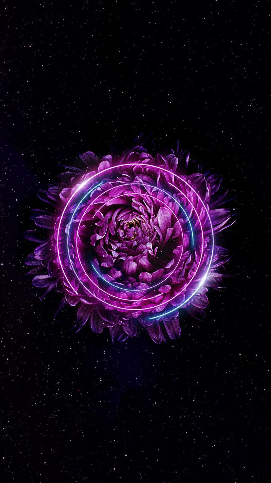 900x1600 Best Wallpaper For iPhone Wallpaper Free HD Download