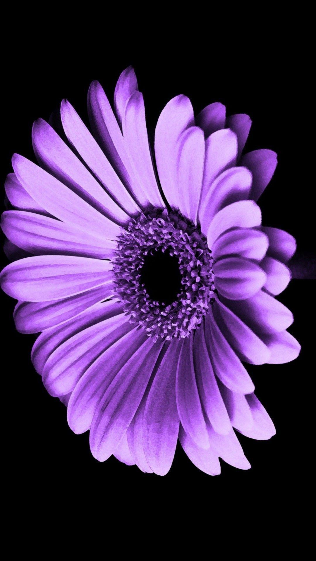 1080x1920 Purple Flower iPhone Wallpaper