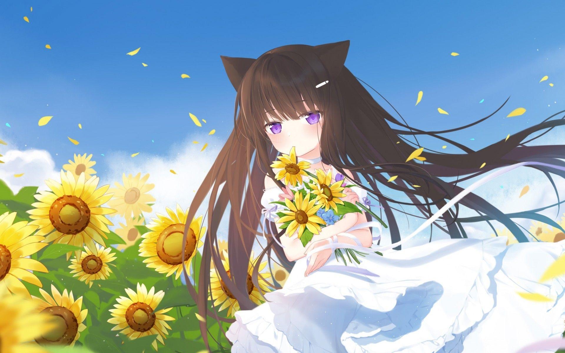 1920x1200 Download 1920x1200 Cute Anime Girl, Summer Dress, Loli, Sunflowers, Animal Ears, Purple Eyes Wallpaper for MacBook Pro 17 inch