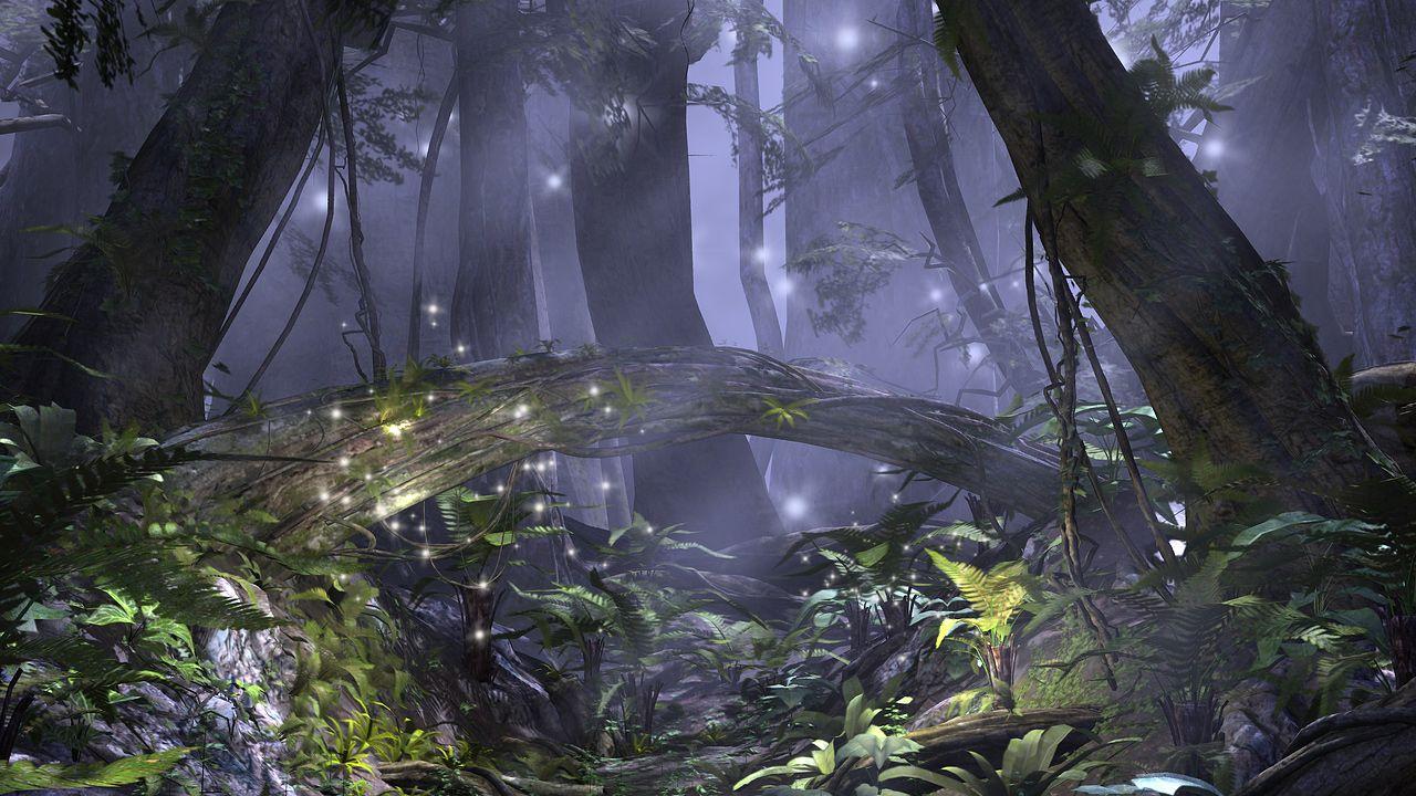 1280x720 1280x720px Enchanted Forest (485.02 KB).06.2015