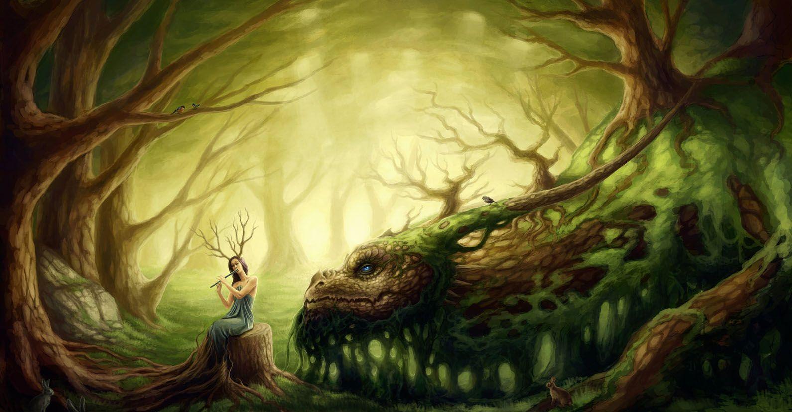 1590x828 Enchanted Forest Desktop Wallpaper