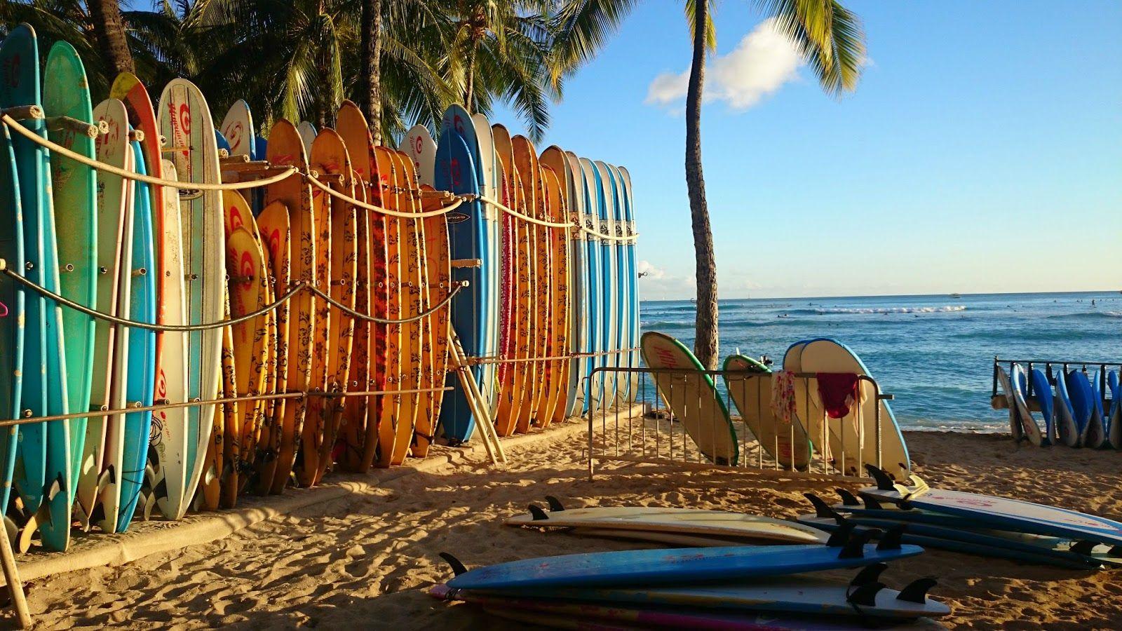 Rainbow surf beach 2. Пляж для серфинга. Серф доска. Доска для серфинга плаж. Доска для серфинга пляж пальмы.