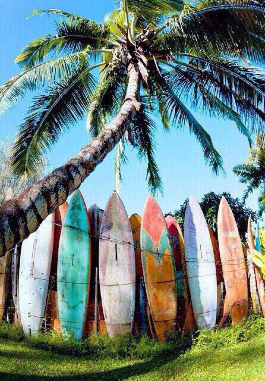 Surfboard surf aesthetic HD wallpaper  Pxfuel