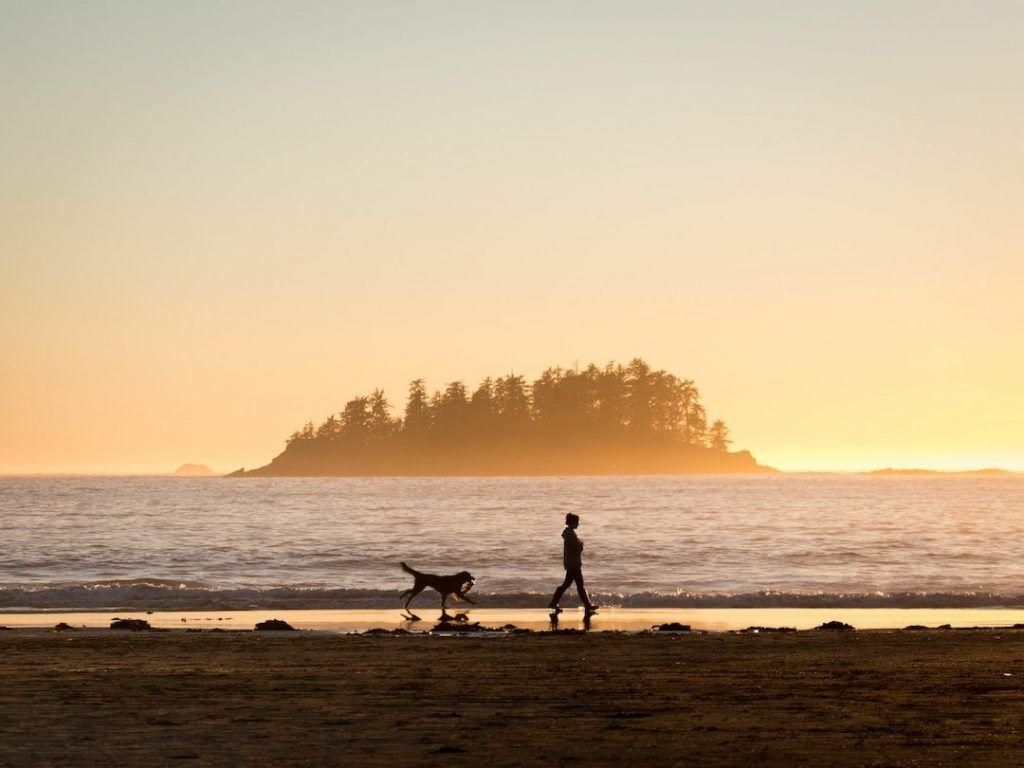 1024x768 The 20 Most Pet Friendly Beaches, Ranked To Come