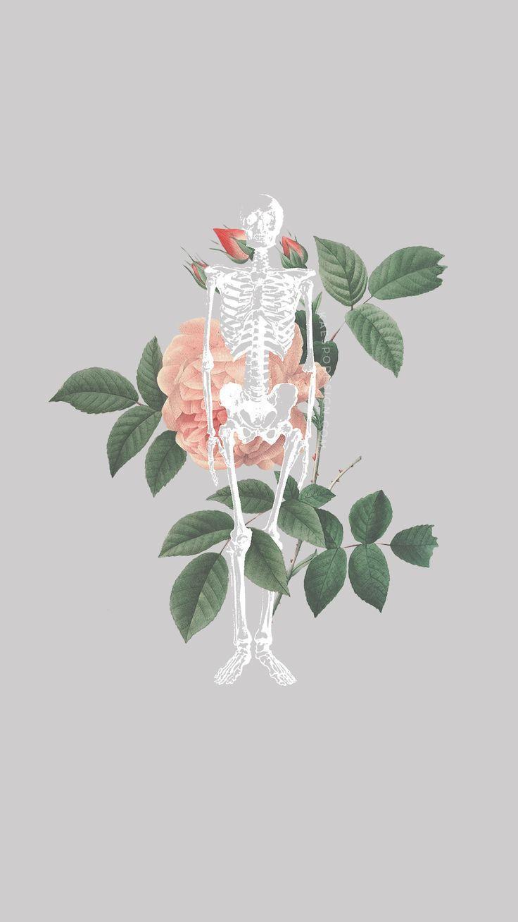 736x1308 iPhone Wallpaper Minimalist Flower