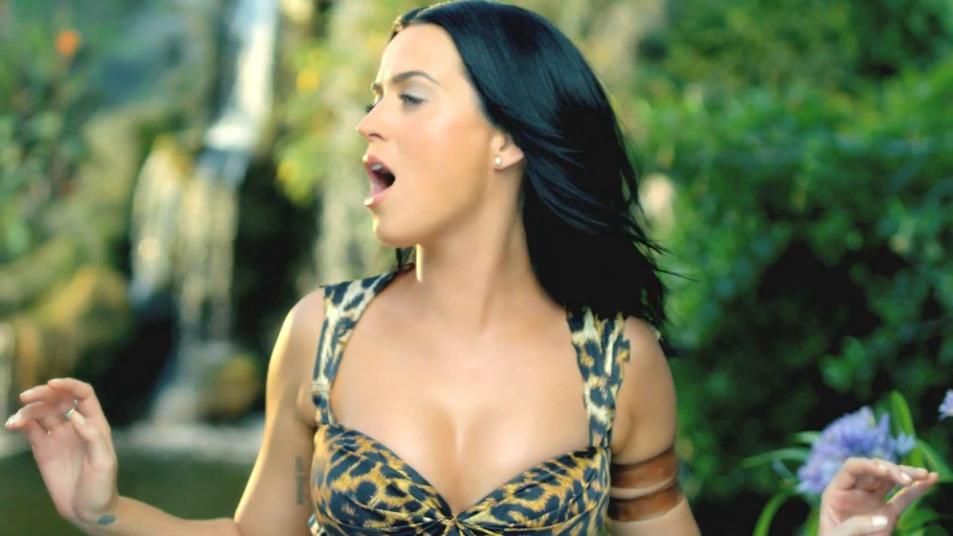 Кэти перри роар. Katy Perry Roar. Кэти Перри в джунглях. Кэти Перри Roar hot. Katy Perry Roar Official.