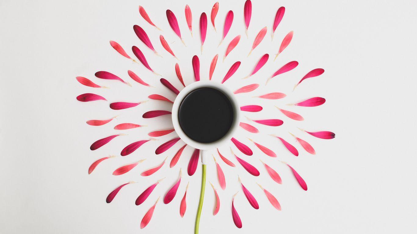 1366x768 Download wallpaper 1366x768 flower, cup, petals, minimalism tablet, laptop HD background