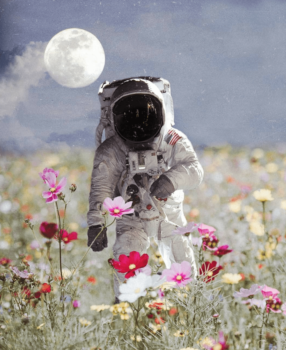 Astronaut Flower Wallpapers - Top Free Astronaut Flower Backgrounds