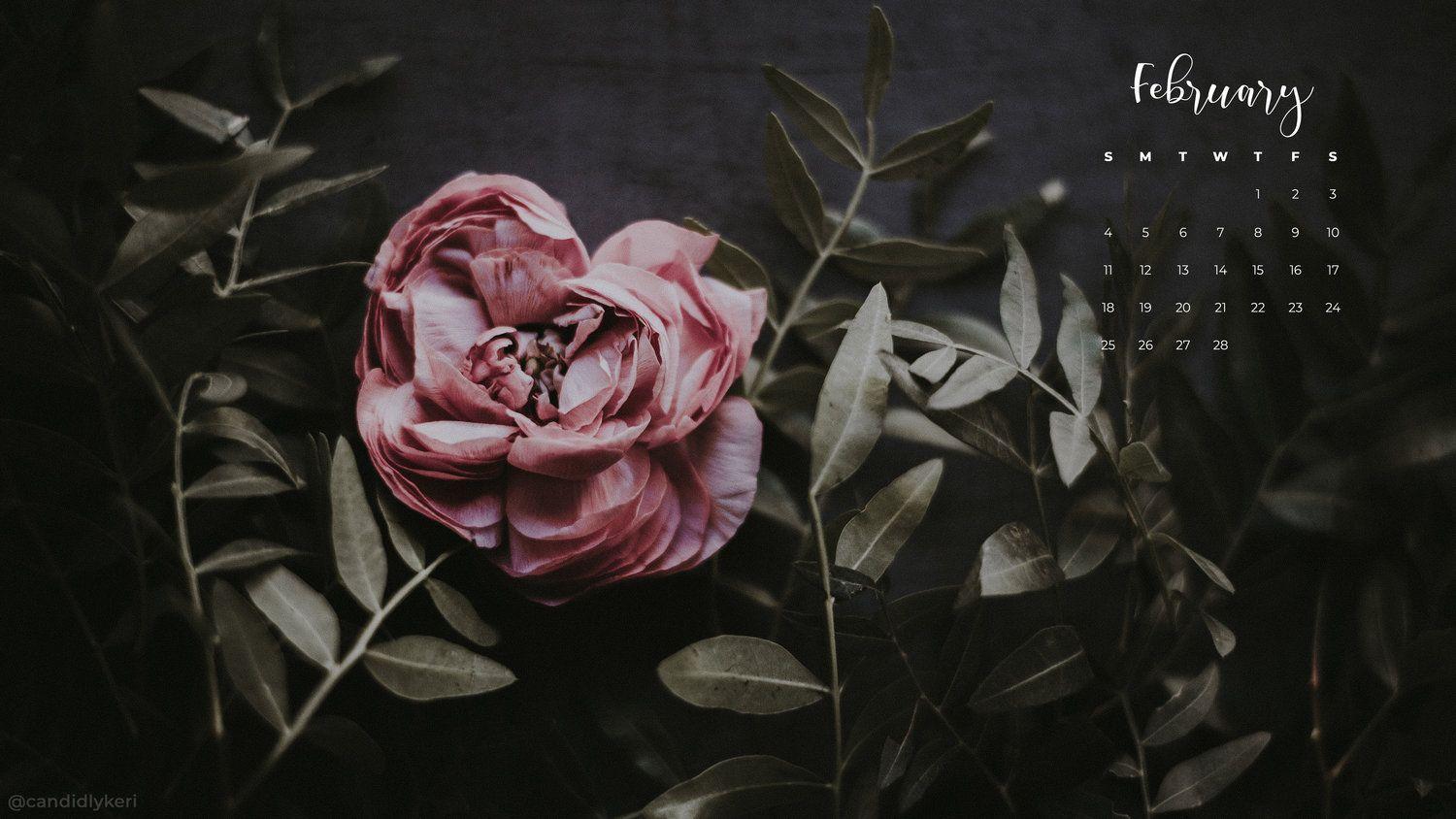 1500x844 Desktop Wallpaper