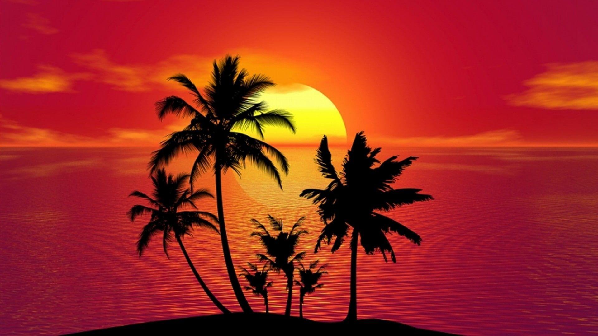 1920x1080 Wallpaper For You • Wallpaper For You The Best Wallpaper For Desktop & Mobile