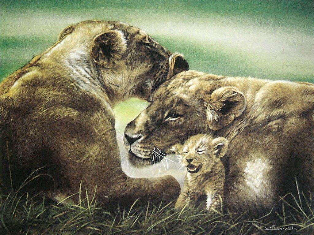 1024x768 Lesley Harrison Animal Paintings : Wild Animal Paintings, Animal and Art 1024x768 NO.39 Desktop Wallpaper