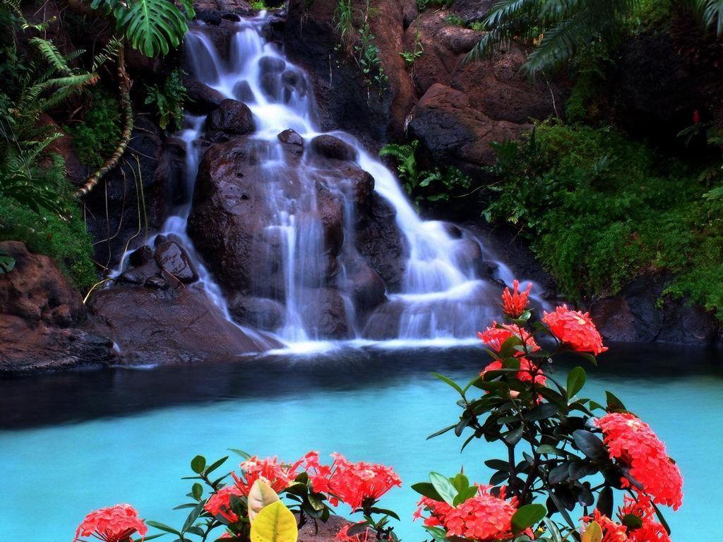 1024x768 picture house: WORLD OF WATERFALLS. Scenic waterfall, Waterfall, Picture