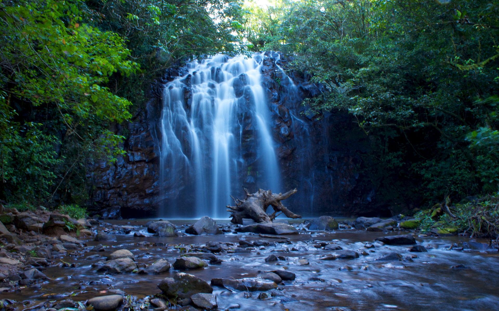 1920x1200 Free Green Nature Tropical Waterfall computer desktop wallpaper