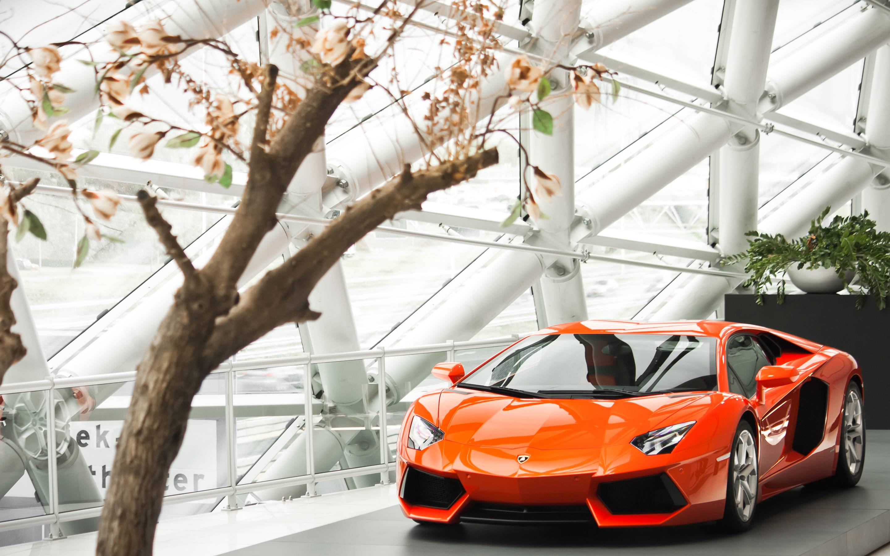 2880x1800 Lamborghini Aventador LP700 4 2013 Wallpaper. HD Car Wallpaper