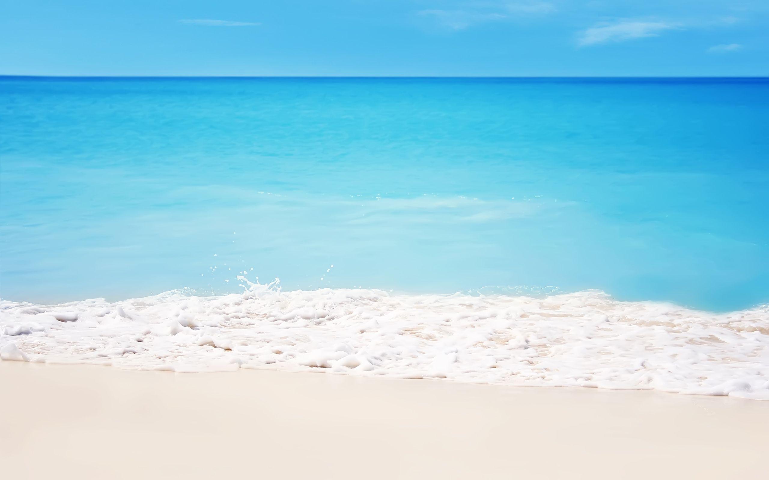 2560x1600 Tropical beach shore wallpaperx1600
