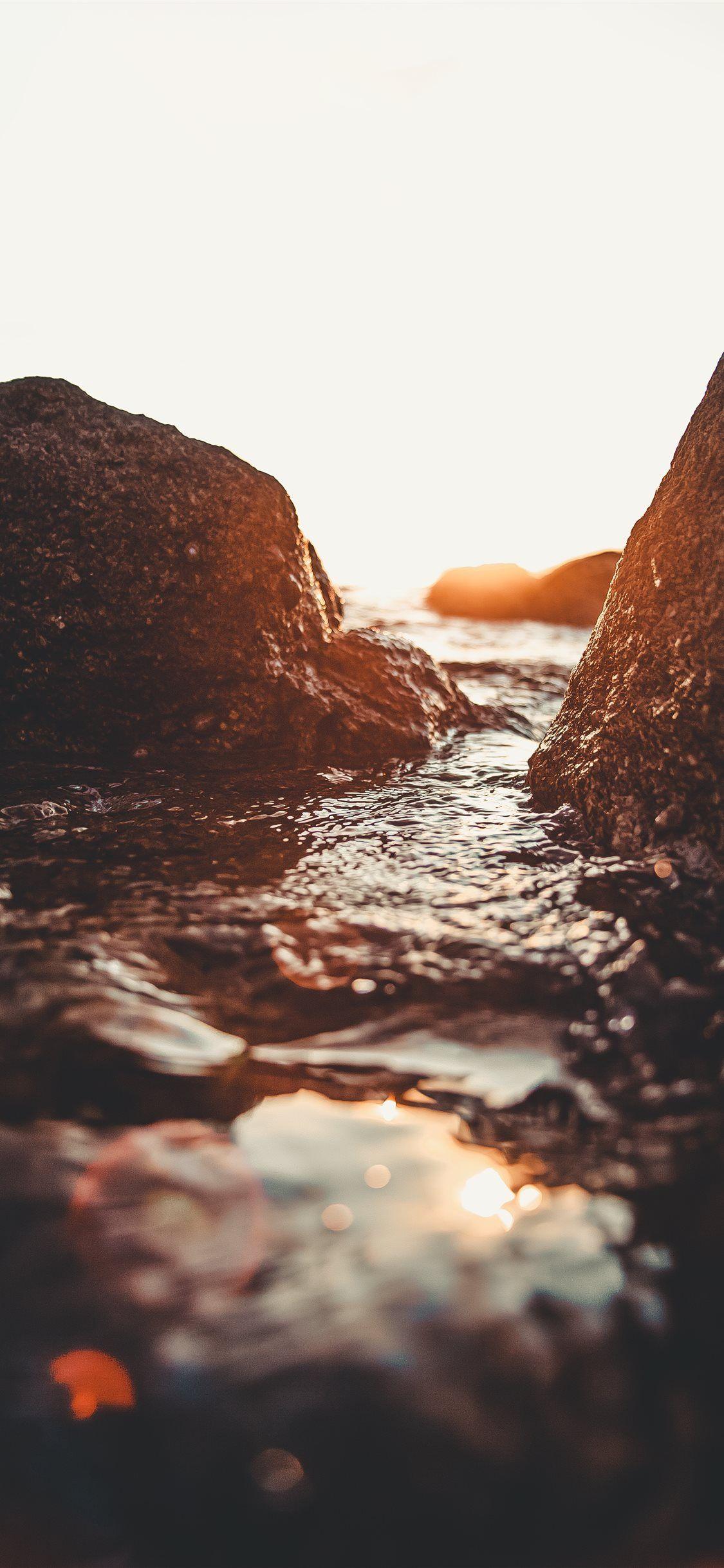 1125x2436 rocky seashore during golden hour iPhone X Wallpaper en 2020. Naturaleza, Fondos de pantalla, Bosque