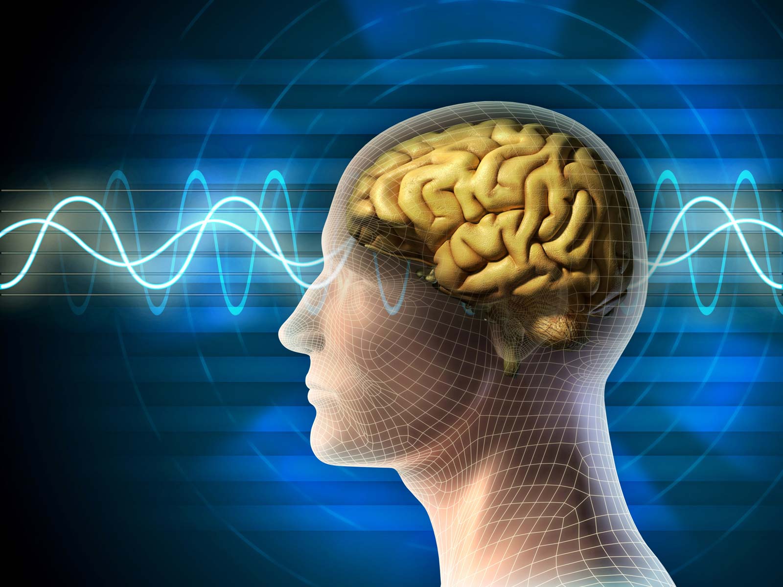 1600x1200 Are There Really Right Brained And Left Brained People?