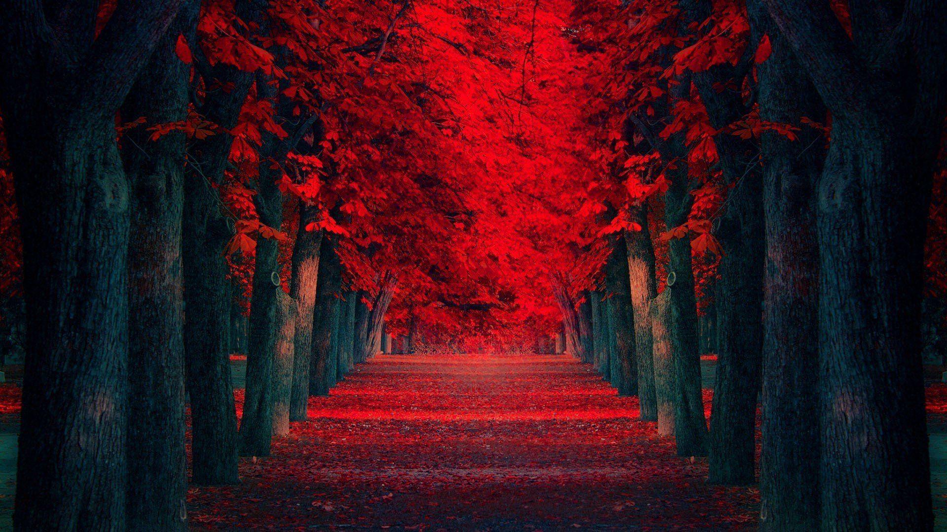 Red Tree: \