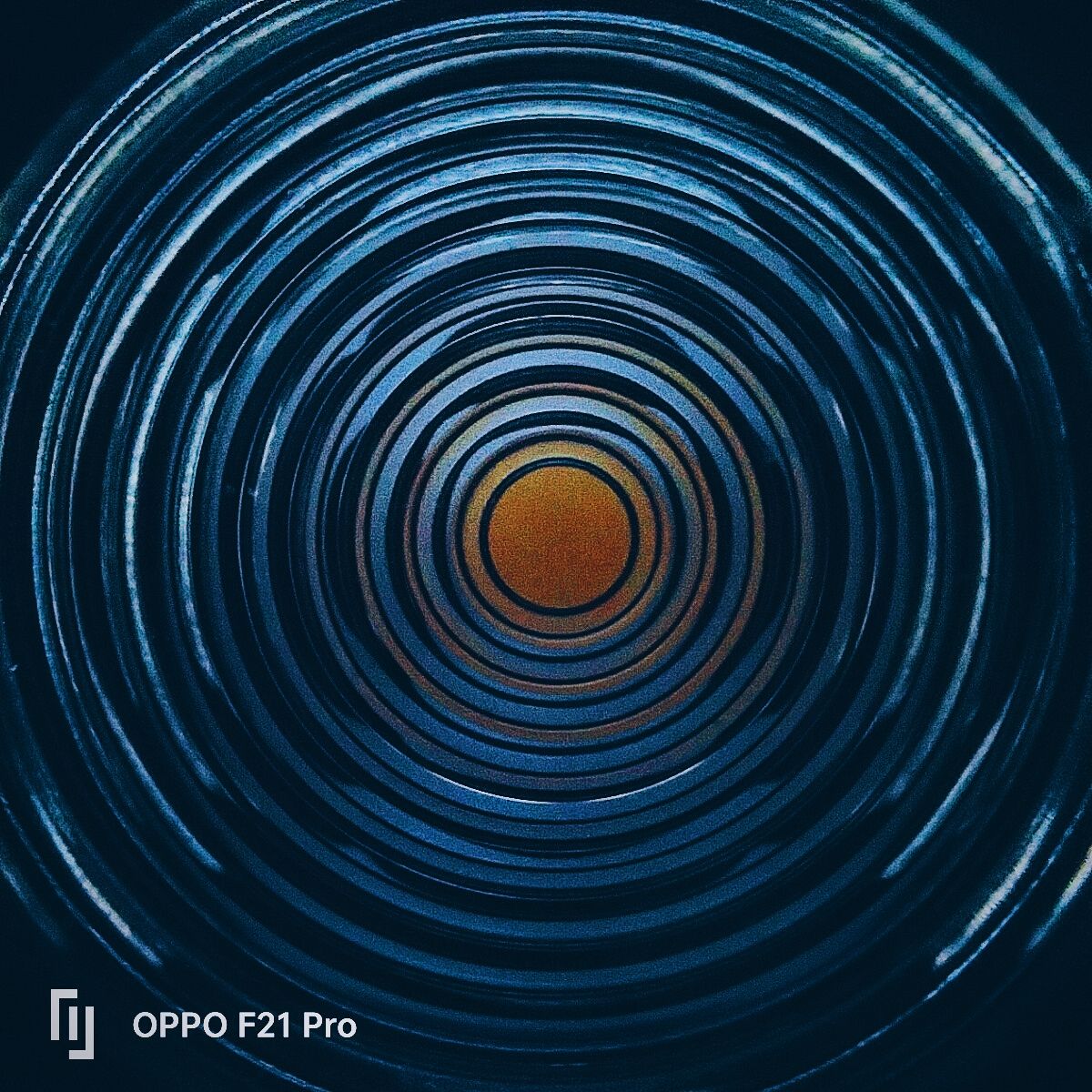 1200x1200 MICROPHOTOGRAPHY WITH OPPO F21 PRO!