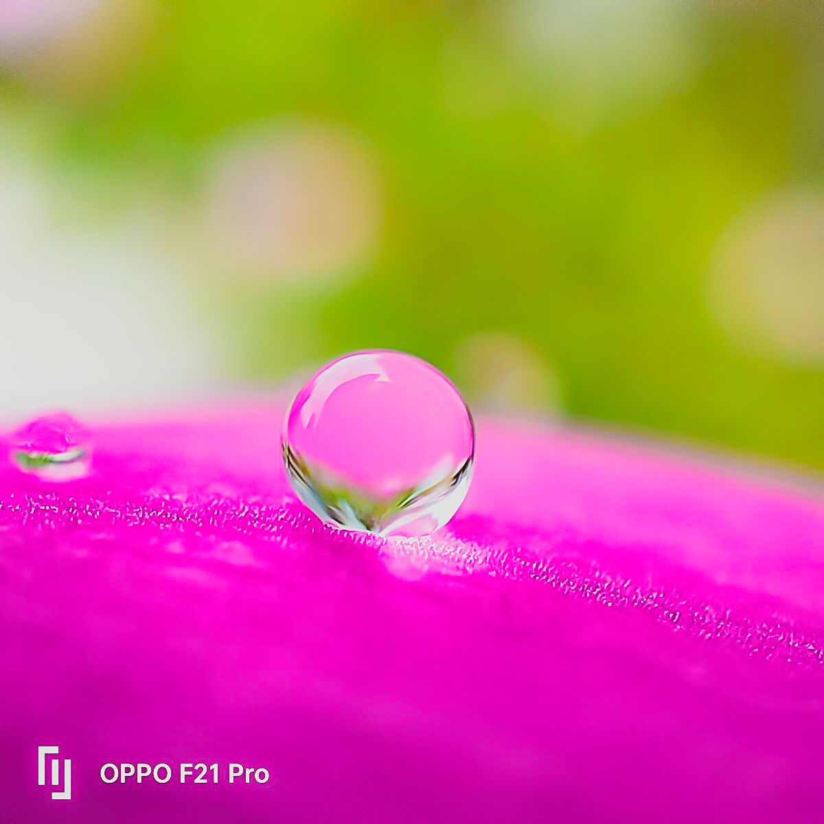 1200x1200 Macro shots through OPPO F21 Pro. #part4 #FlauntYourBest