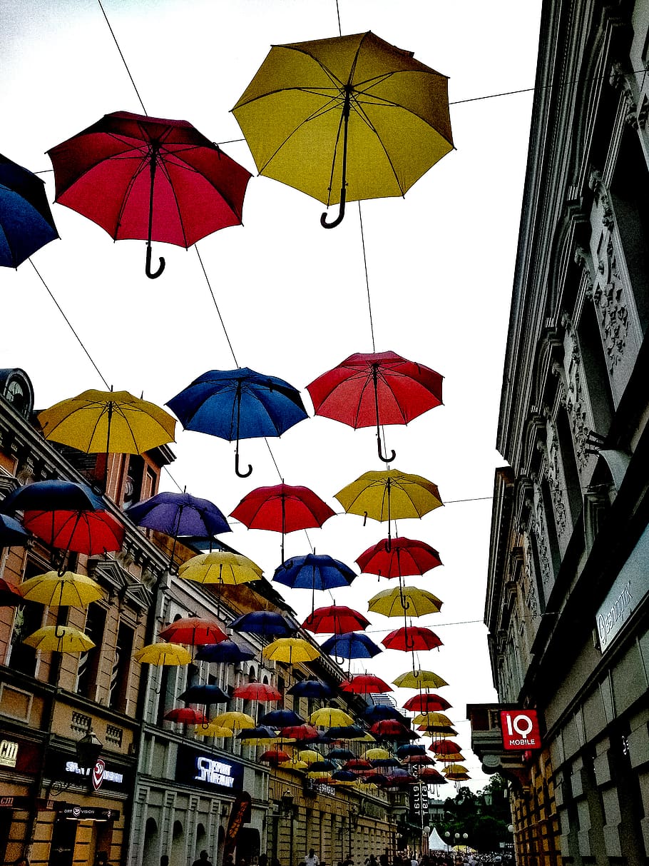 910x1213 bosnia and herzegovina, banja luka, life, red, blue, light, decoratio, new