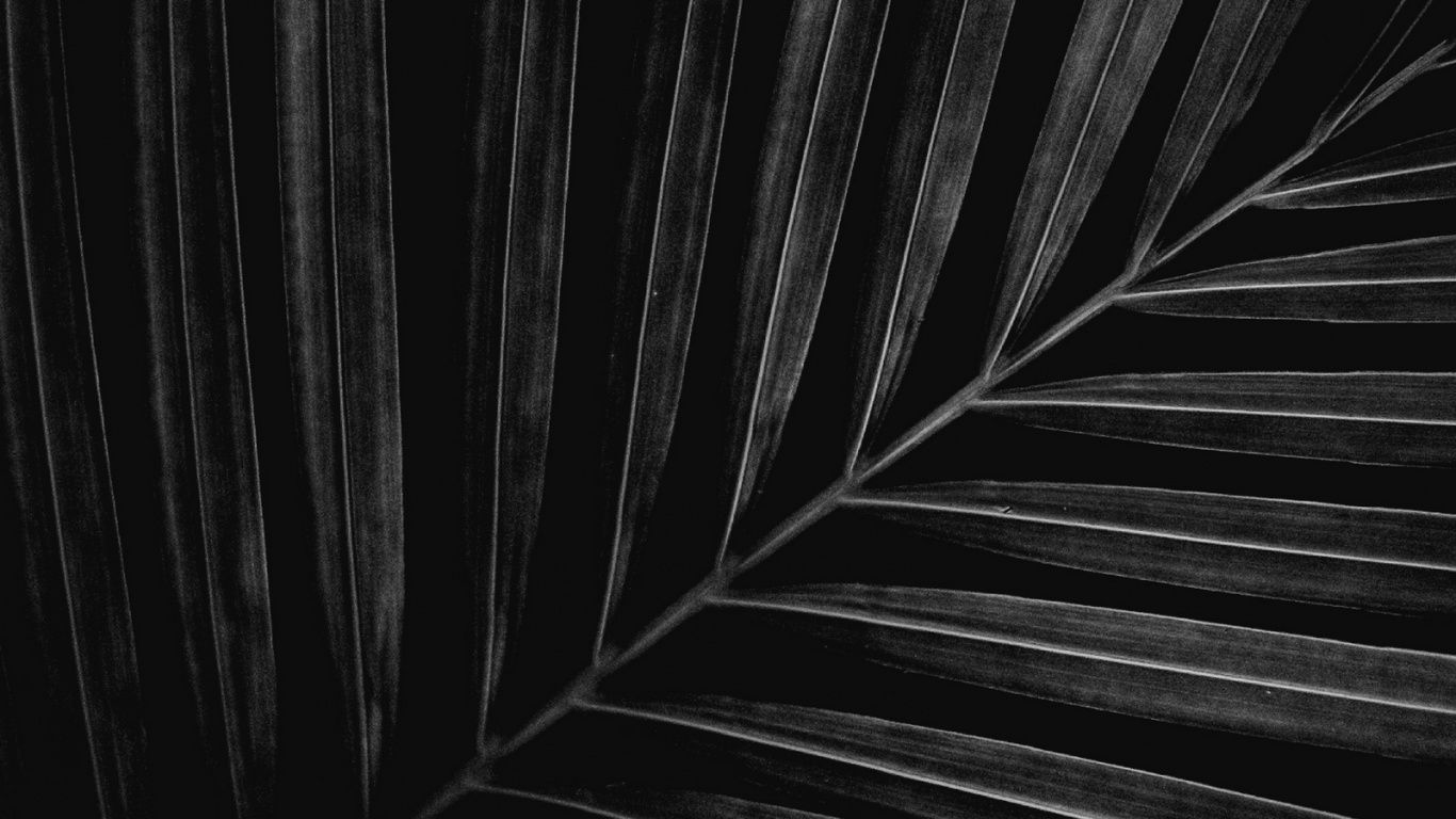 1366x768 Laptop Black And White Wallpaper Free 1366x768 High Quality Background
