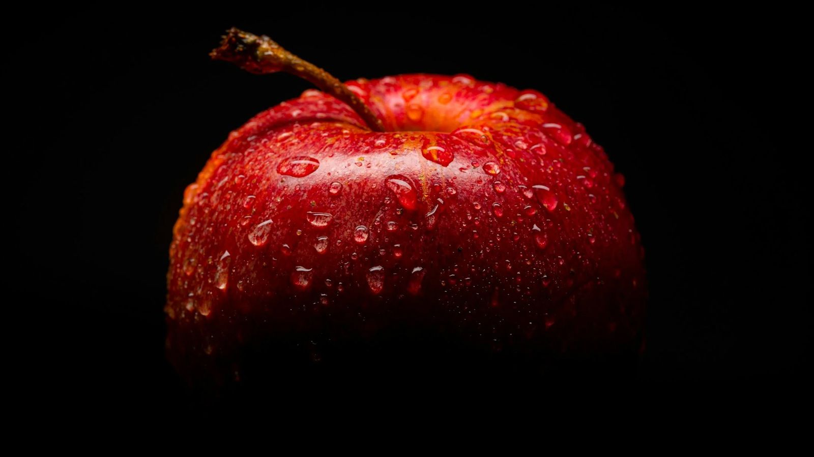 1600x900 An Important Lesson from the Garden of Eden (Video). Cold Case Christianity