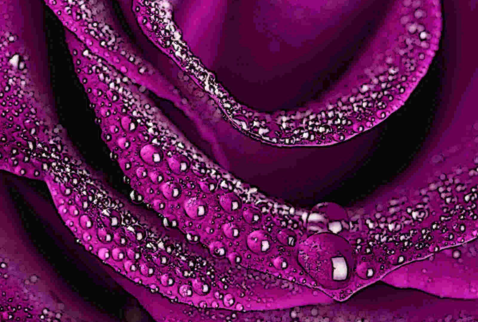 Romantic Love Flowers Wallpapers - Top Những Hình Ảnh Đẹp