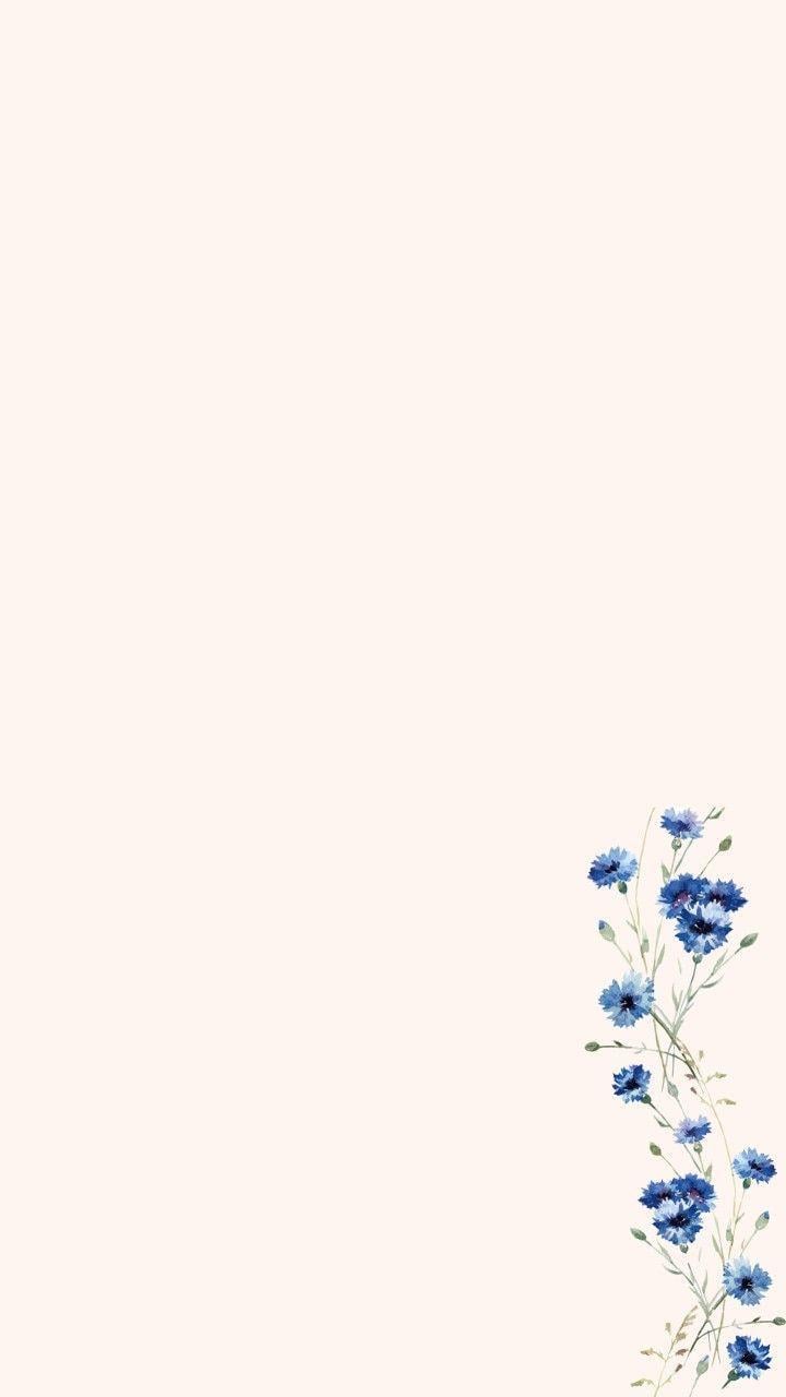 aesthetic neutral color minimalist boho aesthetic wallpaper