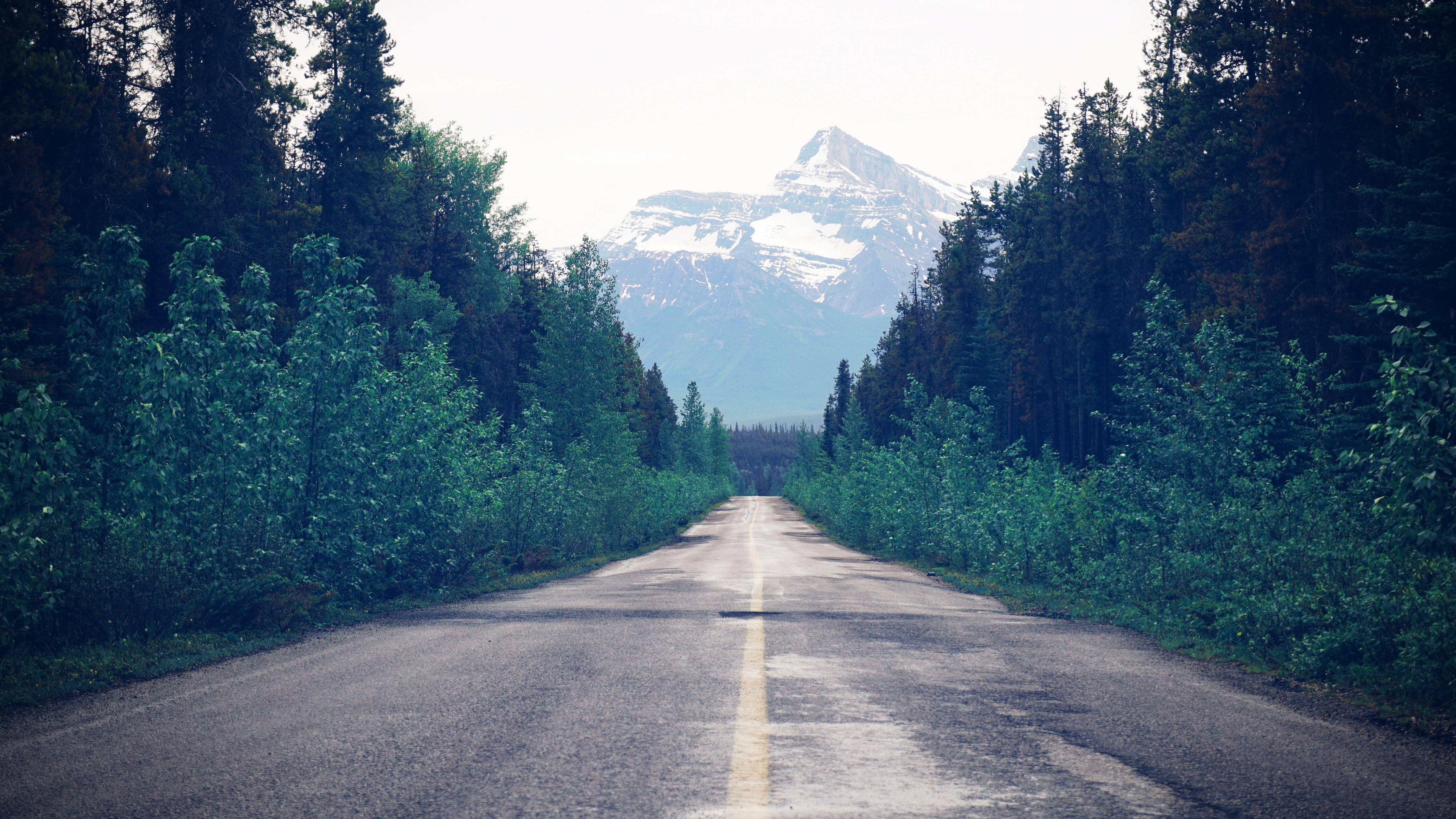 5120x2880 Wallpaper Trees, road, mountain, path 5120x2880 UHD 5K Picture, Image
