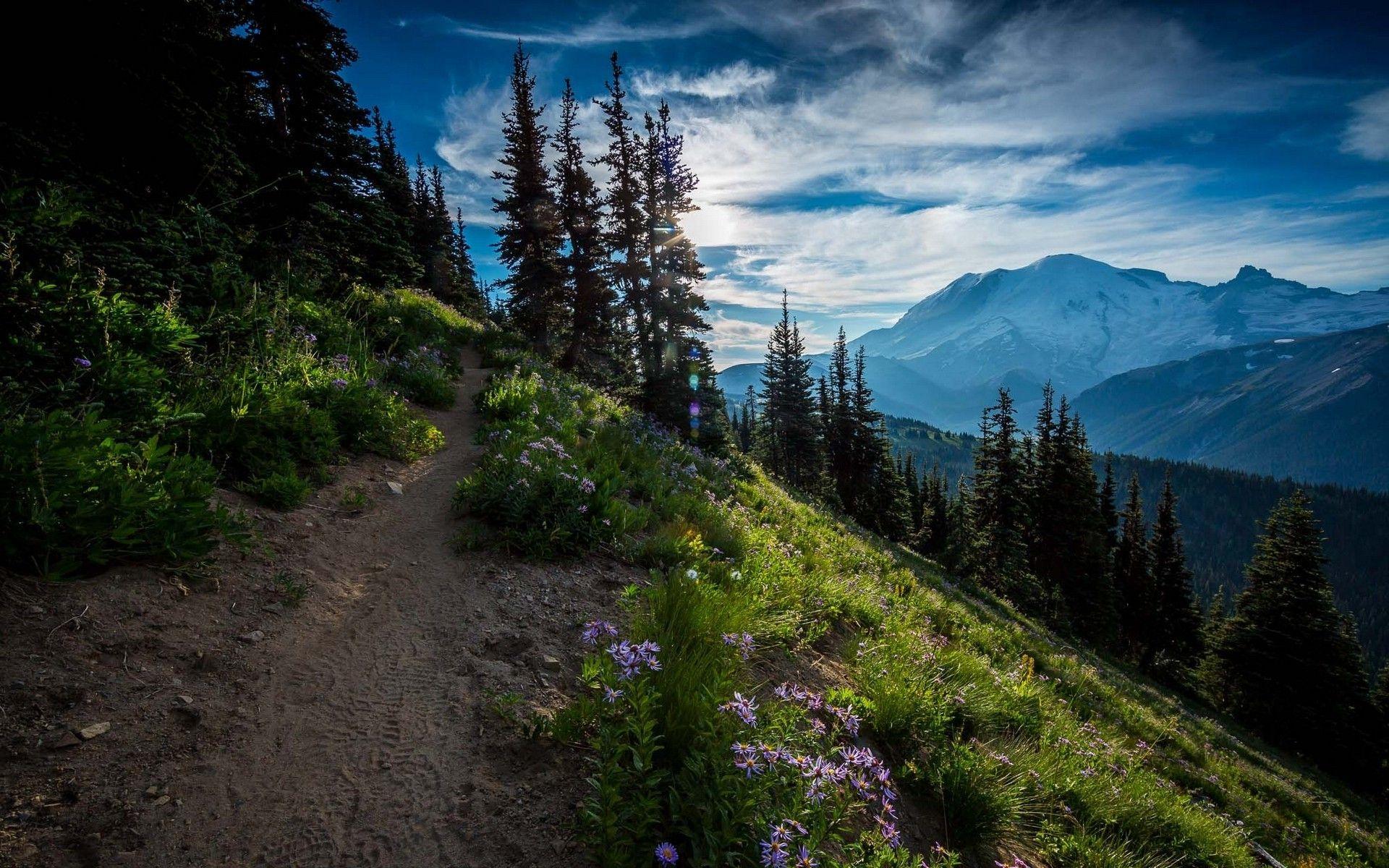 Mountain Path Wallpapers - Top Free Mountain Path Backgrounds -  WallpaperAccess
