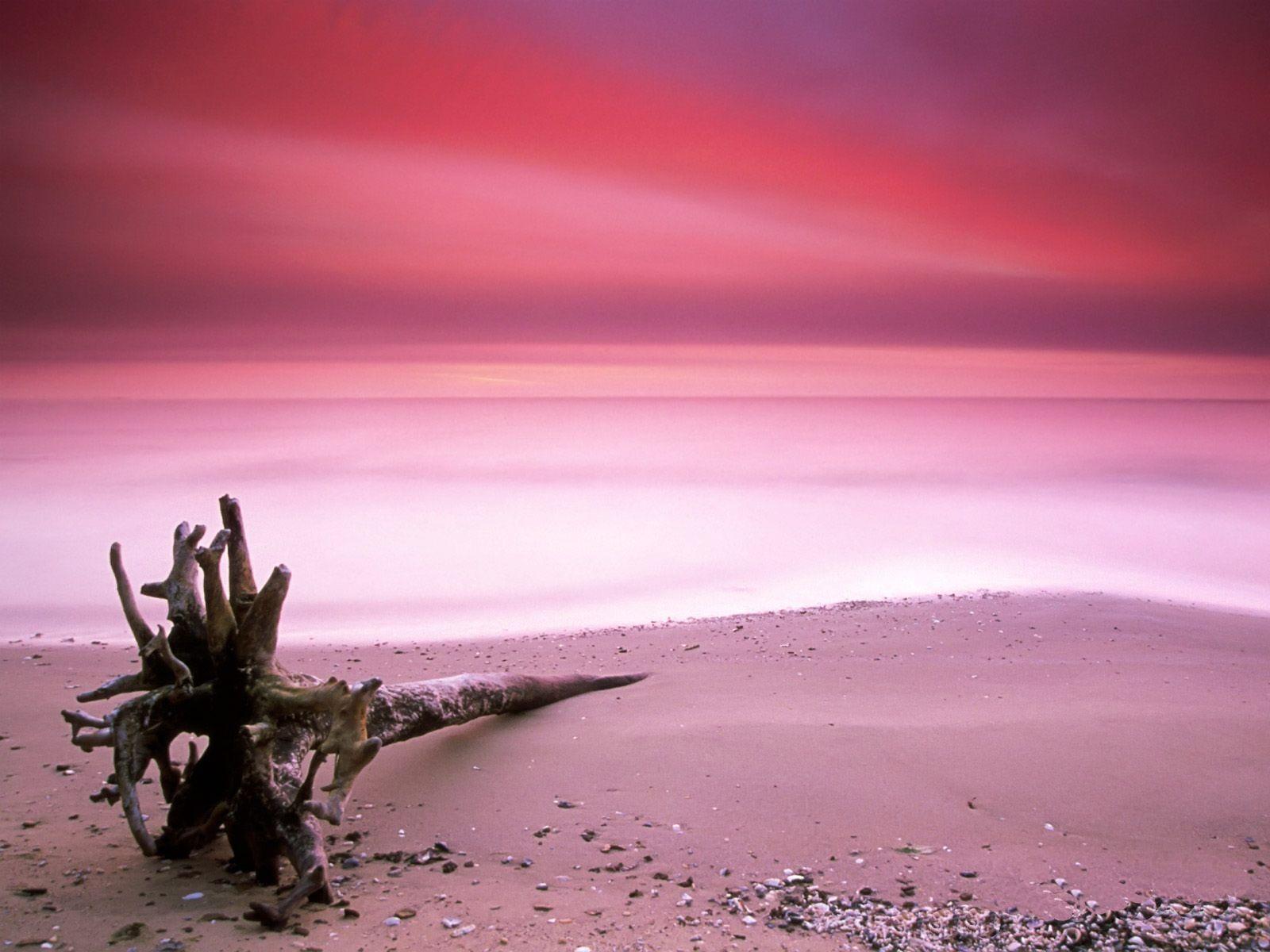 1600x1200 Pink sand beach wallpaper and image, picture, photo