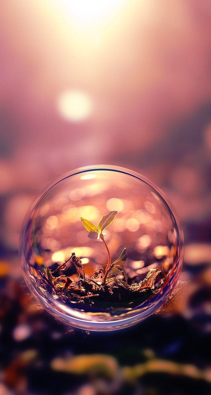 740x1384 Miracles Wallpaper